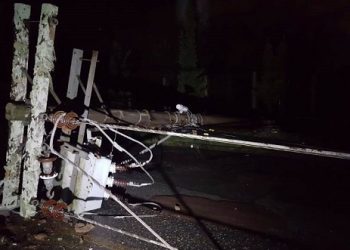 Celpa chama atenção de motoristas para evitar abalroamento