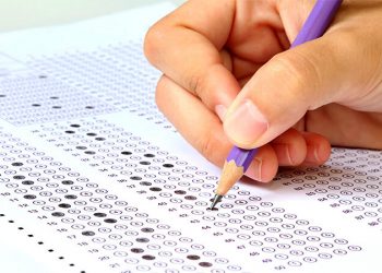 Órgãos estaduais abrem processo seletivo para contratação de temporários em Belém e Altamira