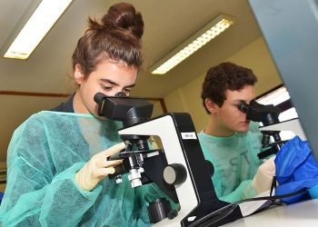 Universidade Portuguesa oferece cursos gratuitos para brasileiros