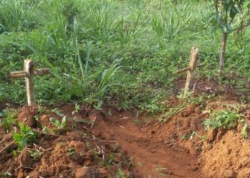 Alvo de ameaças, casal de agricultores encontra covas na porta de casa no interior do Pará