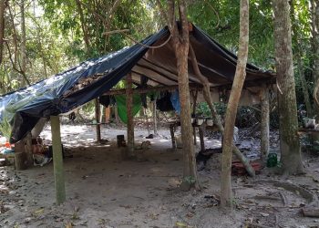 Trabalhadores são resgatados em fazendas onde viviam em situação análoga à escravidão, no PA