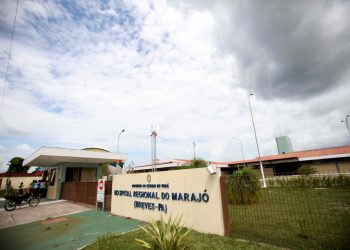 Morre sétima vítima de raiva humana no Pará