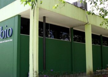 Ideflor-bio abre 13 vagas no terceiro Processo Seletivo Simplificado em 2018