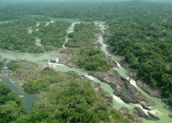 Pará é o estado com maior índice de desmatamento da Amazônia Legal, aponta Imazon