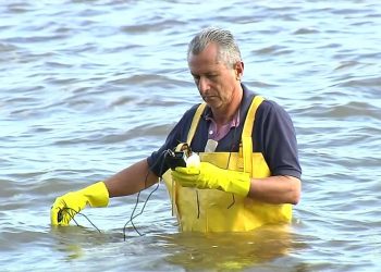 Definida data para nova etapa do estudo de balneabilidade das praias de Santarém