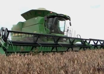 IBGE prevê safra 5,2% menor que a de 2017