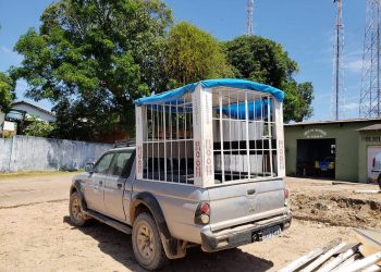 Demutran apreende caminhonete que fazia transporte de alunos em ‘jaula’