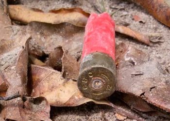 Restos mortais de quatro pessoas são encontrados no interior do Pará