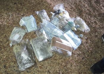 Mais de 6kg de drogas apreendidas durante ações policiais são incinerados em Monte Alegre