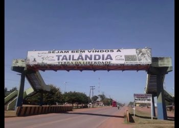 MPPA cobra que Município e Estado fiscalizem madeireiras de Tailândia