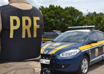 Polícia apreende caminhão que transportava madeira ilegal em Dom Eliseu