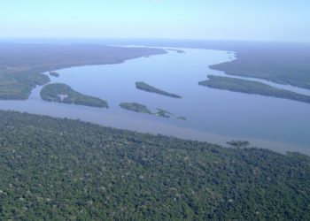 Justiça Federal mandar suspender licitação de concessões florestais nas Flonas Itaituba I e II, no Pará