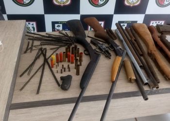Homem é preso por produção e locação de armas caseiras em Tailândia, no nordeste do Pará