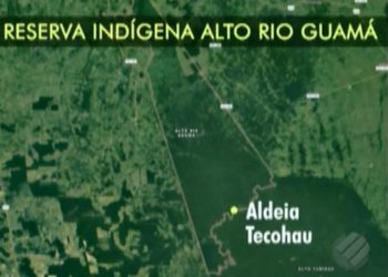 Força-tarefa chega à reserva florestal no Pará para mediar conflito entre indígenas e madeireiros