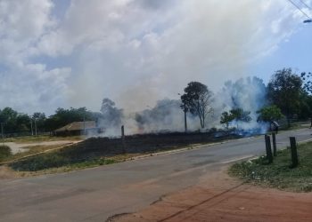 Tempo seco favorece focos de incêndio em áreas de vegetação, alerta Bombeiros