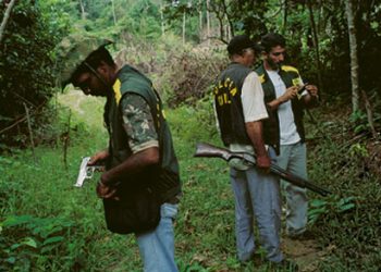 Portaria no Diário Oficial garante emprego da Força Nacional em apoio ao ICMbio no Pará