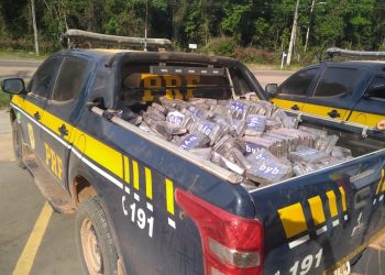 Polícia Rodoviária Federal de Santarém apreende meia tonelada de cocaína em Rurópolis