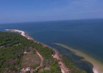 Floresta Nacional do Tapajós é uma das unidades de conservação mais visitadas do Norte