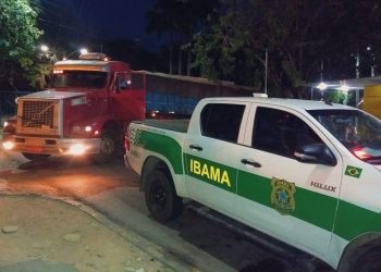 Ibama apreende carga ilegal de madeira em Natal