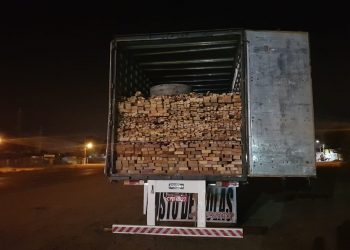 PRF apreende caminhão com madeira ilegal em Dom Eliseu