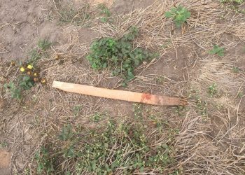 Professor é morto a pauladas em Xinguara, no Pará