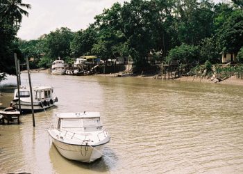 I Seminário Paraense sobre Áreas de Proteção Ambiental abre inscrições