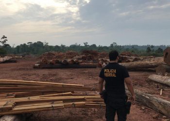 PF desarticula esquema que vendia mais de R$ 6 milhões por mês em madeira extraída de terra indígena no Pará
