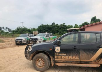 Serrarias são multadas após fiscalização do Ibama no sudeste do Pará