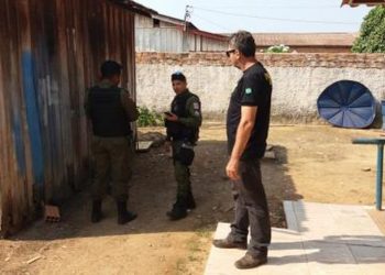 Polícias Civil e Militar realizam operação conjunta no combate a crimes de violência doméstica e estupro no sudoeste do Pará