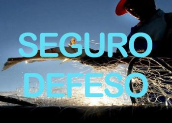 Seguro Defeso passa a ser automático para mais de 165 mil pescadores artesanais do Pará