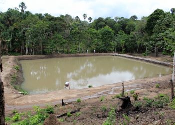 Detentos ganham oportunidade de ressocialização em projeto de piscicultura, no Pará