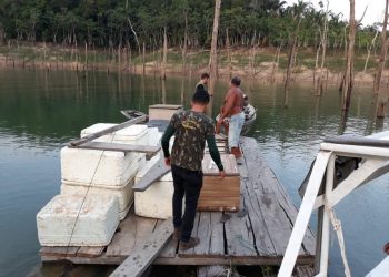 Operação apreende mais de uma tonelada de pescado em Tucuruí, no sudeste do Pará