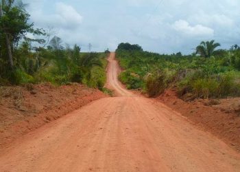 Motociclista morre após sofrer acidente em estrada vicinal no interior de Placas