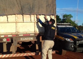 PRF apreende mais de 36m³ de madeira ilegal na BR-230, em Altamira