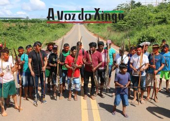 Indígenas bloqueiam a Transamazônica