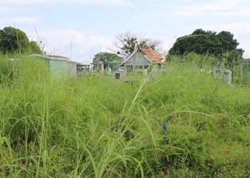 Cemitério de Altamira está abandonado