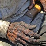 PF e MPT deflagram Operação Libertas contra trabalho escravo em Brasil Novo e Medicilândia (PA)