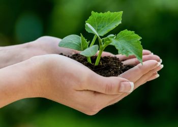 UFPA abre inscrições para mestrado em Engenharia de Barragens e Gestão Ambiental, em Tucuruí