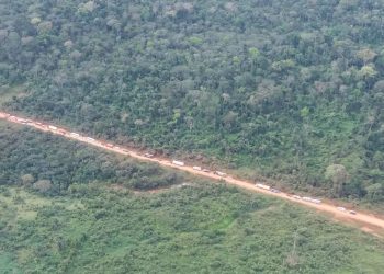 Madeireiros invadem Terra Indígena Arara, no sudoeste do PA, diz Funai
