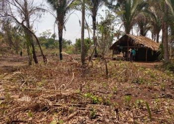 Suspeito de invadir propriedade e tentar matar fazendeiro e familiares é preso no interior do Pará