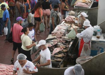 Pescado tem queda de preços em 2018 na capital paraense, aponta Dieese