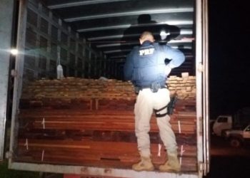 PRF apreende mais de 50m³ de madeira ilegal em Altamira, no Pará