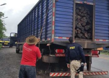 Caminhões são apreendidos com mais de 38 m³ de madeira ilegal no sudeste do Pará