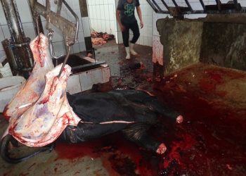 MPPA aciona Justiça para fechamento do matadouro de Medicilândia