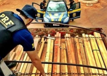 PRF apreende 42m³ de madeira ilegal em Marabá, no Pará