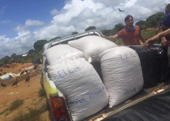 Carga com 809 kg de camarão e 250 de polpa de frutas é apreendida em embarcação atracada em Santarém Carga foi apreendida após abordagem de agentes da Guarda Portuá