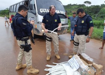PRF apreende mais de 27 quilos de explosivos em ônibus na BR-163