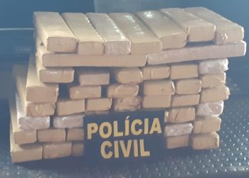 Diretor de Polícia do Interior encerra visita à região do Xingu com incineração de drogas em Altamira