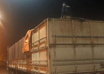 PRF apreende 22 m³ de madeira ilegal na BR-230, em Altamira, no Pará