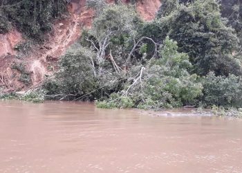 Fenômeno ‘terras caídas’ atinge comunidades da região do Arapixuna em Santarém